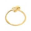 Inel Serenity din argint 925 placat cu aur galben de 18K rodiat cu zirconiu